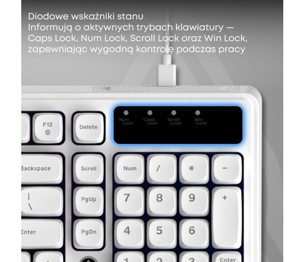 Ajazz AF98 biała - 1536380 - zdjęcie 8